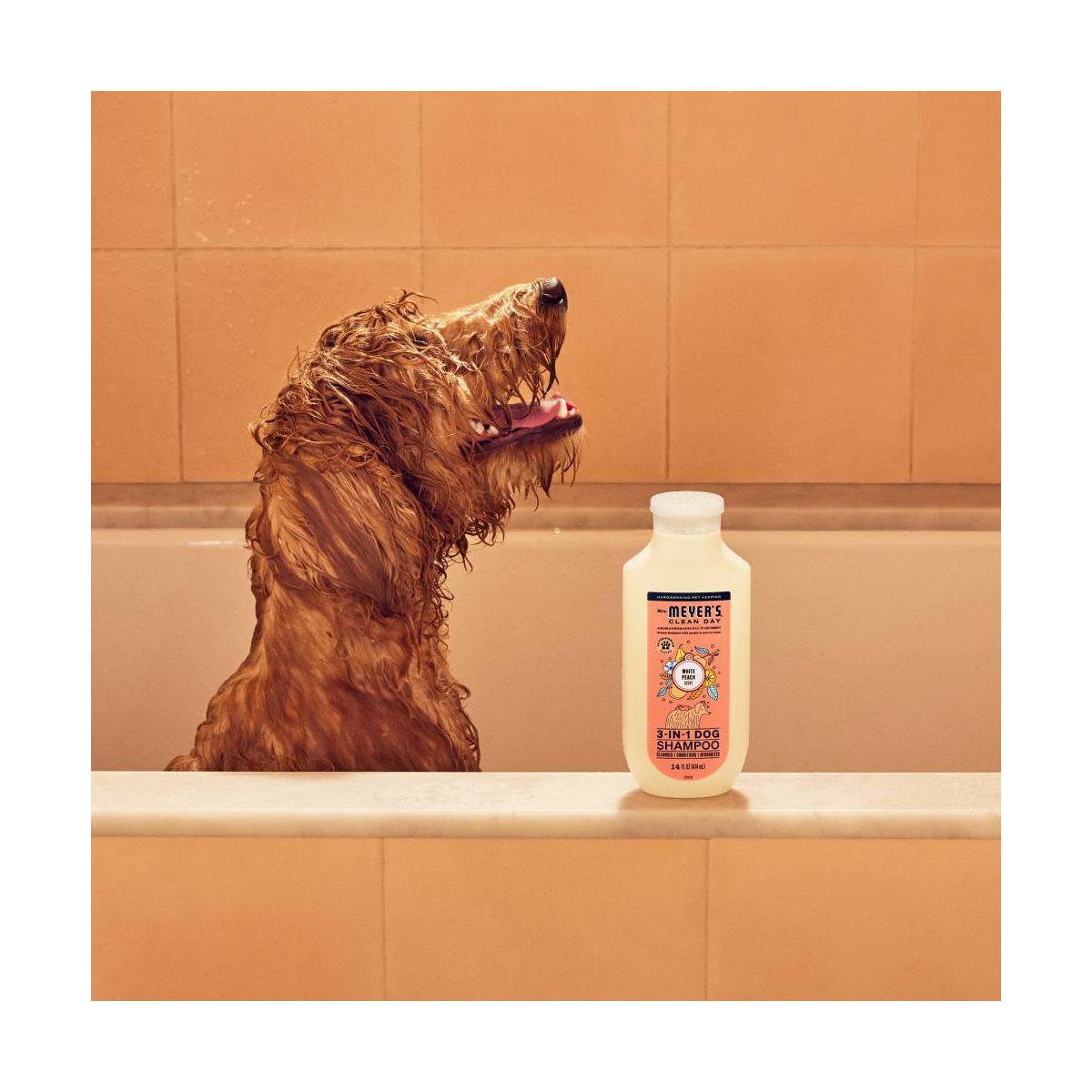 Mrs. Meyer's Clean Day 3-in-1 Fruit Scented Dog Shampoo - 14 fl oz - thumbnail 7