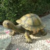 Design Toscano The Tranquil Tortoise Garden Sculpture - Large, Multicolored - 2 of 3