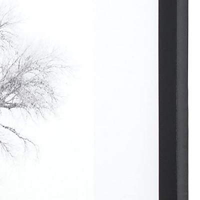 Winter's Morning Fog Black and White Framed Print
