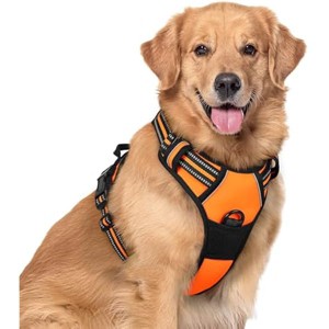 rabbitgoo Dog Harness No Pull with 2 Leash Clips, Control Handle for Large Dogs, Orange, XL - 1 of 1