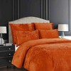 BAGOKIE 5 Pieces Bed in a Bag Comforter Set for All Season - 2 of 4