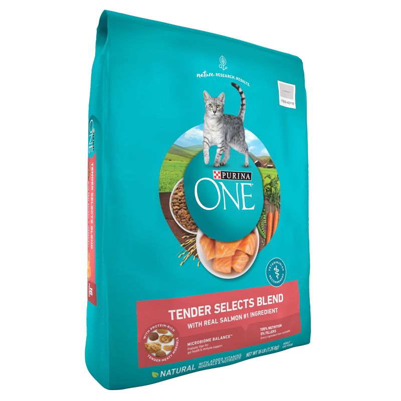 Purina ONE Tender Selects Natural Dry Cat Food with Real Salmon & Fish, 5 of 10