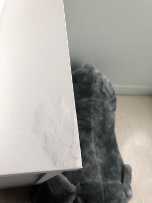 Guest review image 2 of 2, zoom in