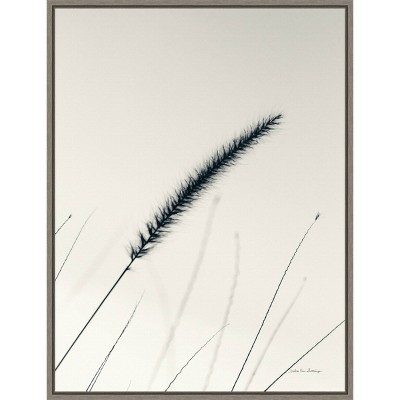 18" x 24" Field Grasses V by Debra Van Swearingen Framed Wall Canvas - Amanti Art