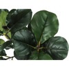 Monarch Specialties Artificial Plant 47 inch Tall Fiddle Tree Indoor Faux Fake Floor Greenery Potted Real Touch Decorative Green Leaves Black Pot - 4 of 4