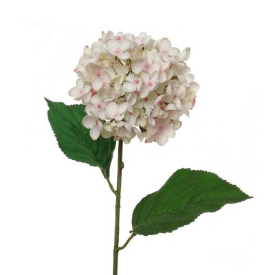 Floral Home 22" Cream Pink Hydrangea Stem - 12-Piece