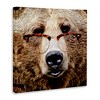 Stupell Industries Grizzly Bear with Glasses, 30" x 30" - 3 of 4