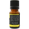 Plantlife Clean House Essential Oil Blend – 100% Pure & Therapeutic Grade – Natural, Undiluted & Refreshing – No Additives – 10 ml Aromatherapy - 2 of 3