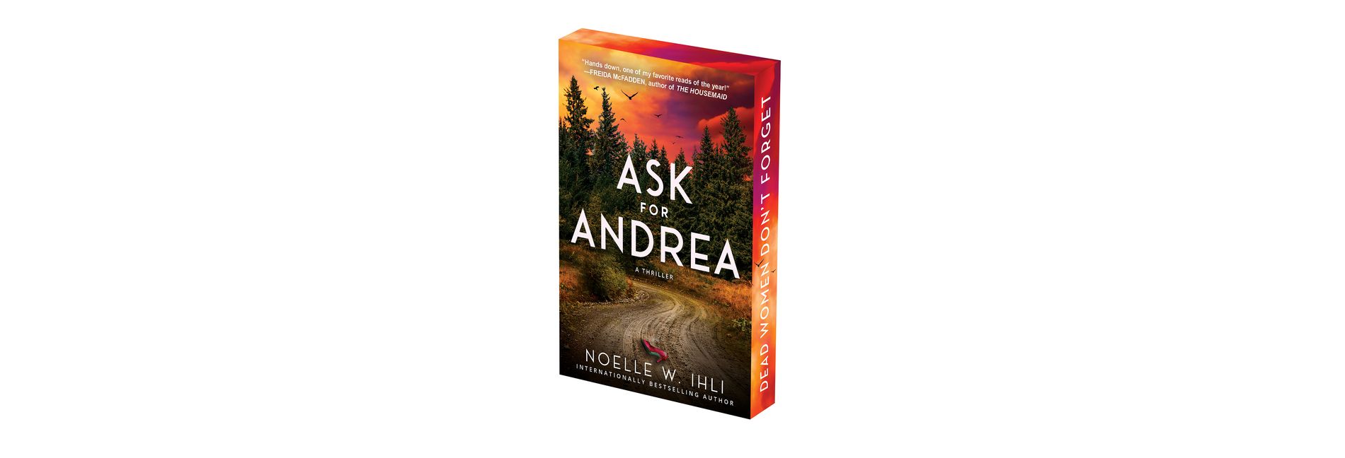 Ask for Andrea (Deluxe Stenciled Edges) - by  Noelle W Ihli (Paperback)