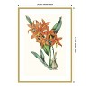 Amanti Art Paxton Tropicals IV by Jennifer Paxton Parker Wood Framed Wall Art Print - 3 of 4