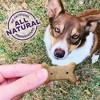 Old Mother Hubbard by Wellness Classic Crunchy Original Assortment Biscuits Small Oven Baked with Carrot, Apple, Cheese and Chicken Flavor Dog Treats - 4 of 4