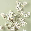 28" Faux White Dogwood Flower Stem - Hearth & Hand™ with Magnolia - 3 of 3