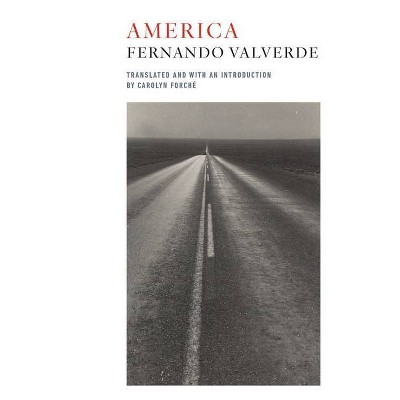 America - by  Fernando Valverde (Paperback)