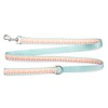 The Worthy Dog Mermaid Pet Leash - 4 of 4