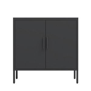 VYNXARIA Black Metal Storage Cabinet with Doors and Adjustable Shelves for Home Office Gym - 1 of 4