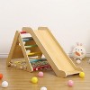 Whizmax 2 in 1 Climbing Toy with Sliding Ramp, Climbing Net & Board - 2 of 4