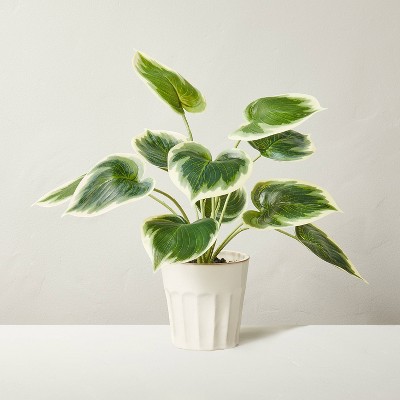 16" Faux Philodendron Plant - Hearth & Hand™ with Magnolia