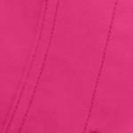raspberry sorbet