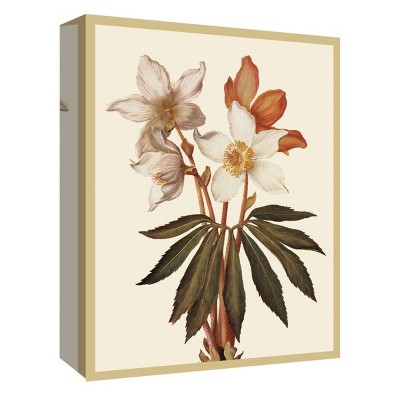 11" x 14" Flower Nature II Decorative Wall Art - PTM Images