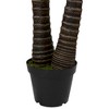 Northlight 5' Potted Two Tone Green Cycas Artificial Floor Plant - image 4 of 4