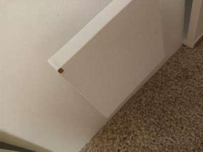 Guest review image 2 of 5, zoom in