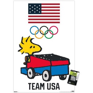 Trends International Team USA x Peanuts – Woodstock Drives the Zamboni Unframed Wall Poster Prints - 1 of 4