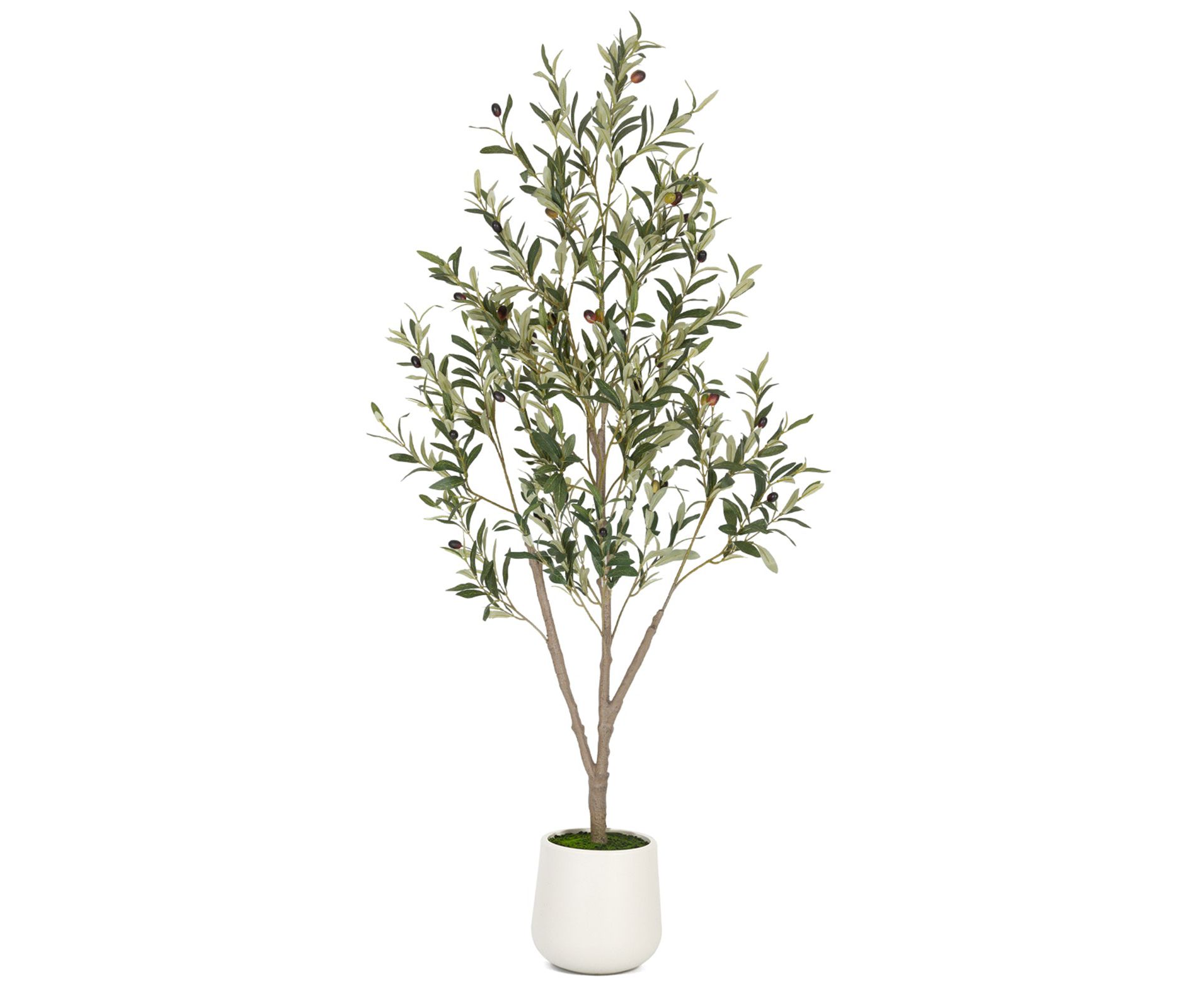 5FT 6FT 7FT Artificial Olive Tree Faux Olive Plant Realistic Leaves Silk Tree with White Pot for Home Office Decor, Interior Outdoor Decoration