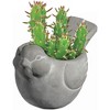 Classic Home and Garden Cement Buddies Indoor/Outdoor Planter with Drainage Hole, Bird - 3 of 4