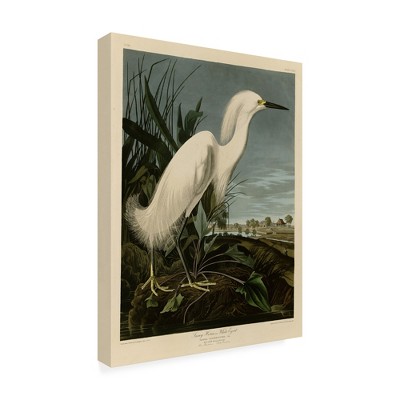 Trademark Fine Art -John James Audubon 'Snowy Heron' Canvas Art