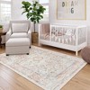 Lahome  Large Floral Border Contrast Short Pile Velvet Rectangular Indoor Area Rug - 3 of 4