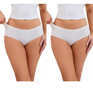 INSPIRE CHIC 2 Pcs Women's Mid-Waisted Panties Full Coverage No Trace Comfortable Briefs - 1 of 4