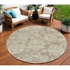 Brown Tan And Beige Floral Washable Indoor Outdoor Area Rug - 2 of 4