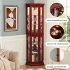 Lighted Corner Curio Cabinet, Display Cabinet with Shelves, Tempered Glass Door Corner China Cabinet for Living or Dining Room - Koiai - 3 of 4
