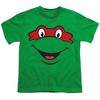 Teenage Mutant Ninja Turtles Raphael Smallile Kids T Shirt For Youth, Kelly Green - 2 of 4