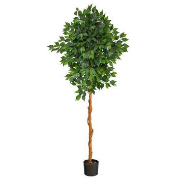 6ft Artificial Palace Style Ficus Silk Tree In Pot - Nearly Natural ...