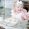 WeeSprout Suction Plates for Babies & Toddlers | 100% Silicone | Plates Stay Put with Suction Feature | Divided Design | 3 Pack - 3 of 4