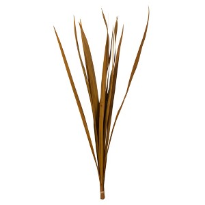 Vickerman 18-30" Snake Grass, Dried - 36 Stems - 1 of 4