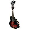 Washburn M3SW Americana F-Style Mandolin - 3 of 4