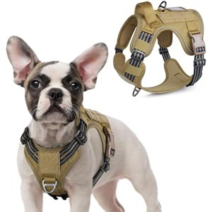 rabbitgoo Dog Harness No Pull with 2 Leash Clips, Adjustable Soft Padded, Reflective Oxford No Choke Pet Vest with Easy Control , Green Mountain,XS - 1 of 1