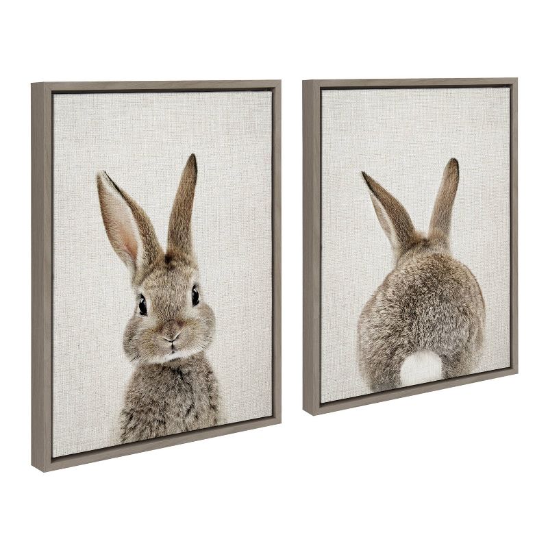 18" x 24" (Set of 2) Sylvie Bunny Portrait and Tail By Amy Peterson Framed Wall Canvas Set - Kate & Laurel All Things Decor, 3 of 8