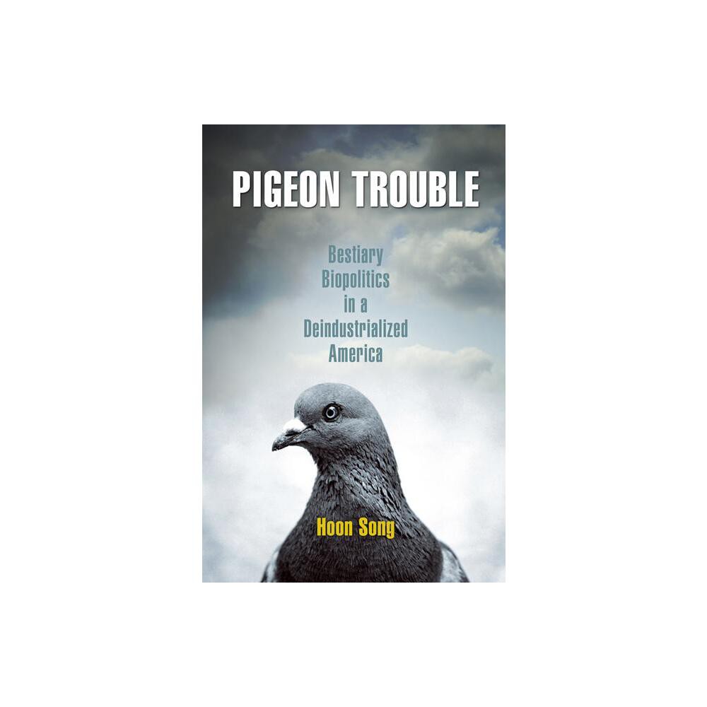 Pigeon Trouble - by Hoon Song (Paperback)