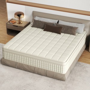 CHEVNI 12-14 Inch Mattress in a box Hybrid Spring Memory Foam Medium Firm - 1 of 4