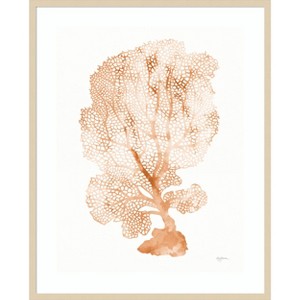 Amanti Art Shibori Coral II Peach by Mary Urban Wood Framed Wall Art Print - 1 of 4
