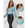 Allegra K Women's Scoop Neck Lantern Sleeve Shiny Metallic Glitter Tops - 2 of 4