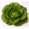 Robinson Fresh Green Leaf Lettuce - 7oz - 2 of 3
