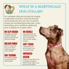 Country Brook Petz HossFit Jr Wide Martingale Dog Collar - Affection Collection - 4 of 4
