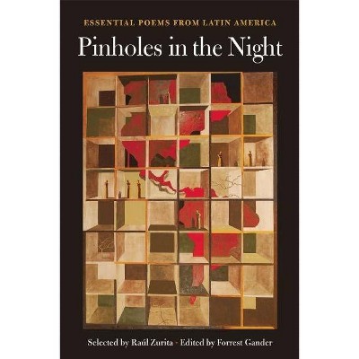 Pinholes in the Night - by  Forrest Gander (Paperback)