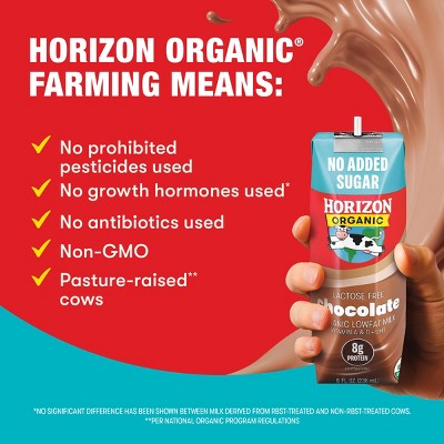 Horizon Organic Lactose Free, No Added Sugar - Chocolate - 6pk/8 fl oz Boxes