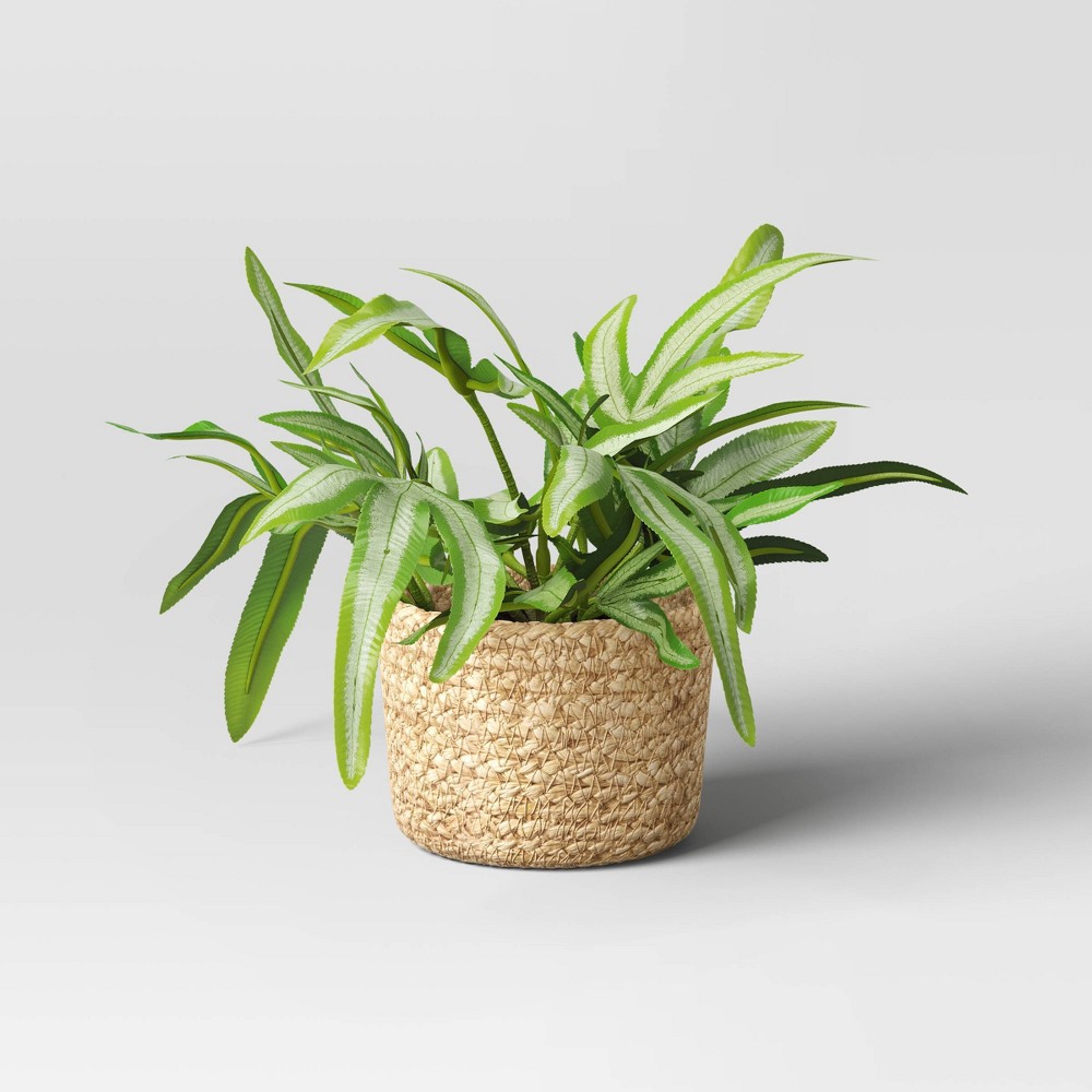 Small Artificial Fern Leaf in Basket - Threshold