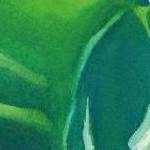 clear push pins bundle